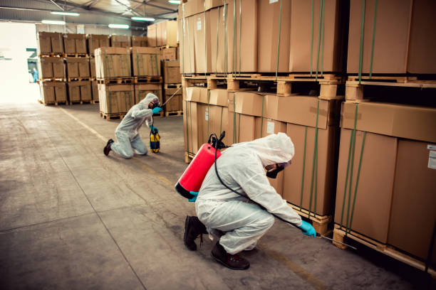 Best Pest Control Treatment  in Freeland, MI