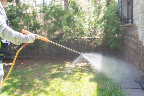 Best Mosquito Control Services  in Freeland, MI
