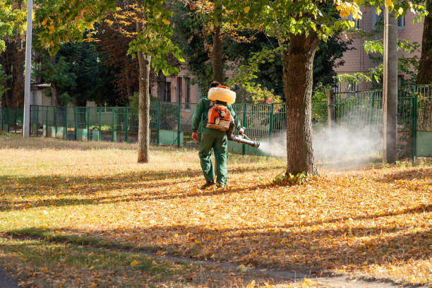 Best Rodent Control Near Me  in Freeland, MI