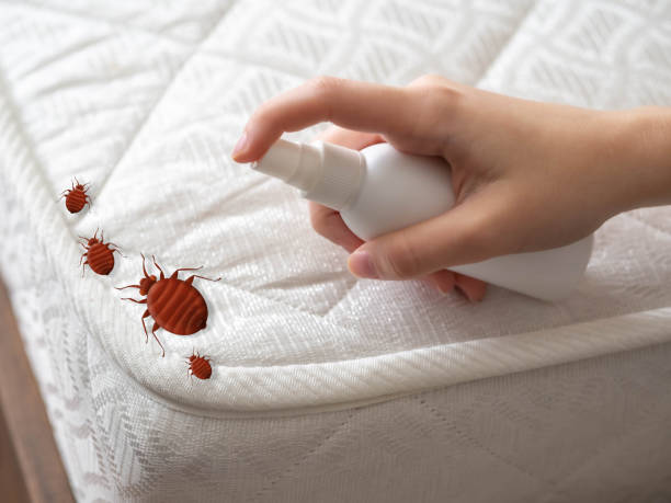 Pest Control for Restaurants in Freeland, MI