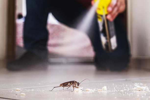 Trusted Freeland, MI Pest Control Experts