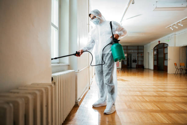 Best Pest Prevention Services  in Freeland, MI