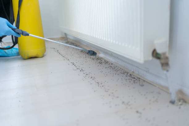 Best Best Pest Control Companies  in Freeland, MI