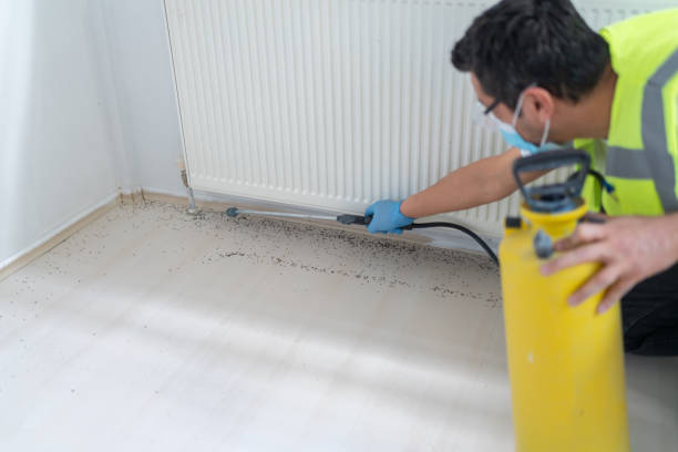 Best Best Pest Control Companies  in Freeland, MI