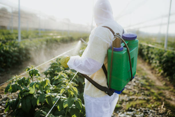 Best Residential Pest Control  in Freeland, MI